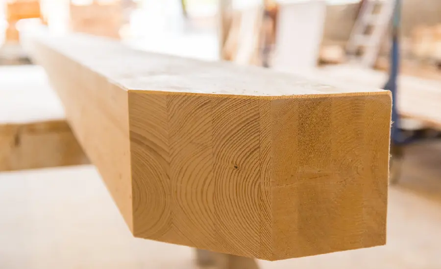 Bioedilizia e futuro: vivere meglio, nel rispetto della natura