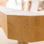 Bioedilizia e futuro: vivere meglio, nel rispetto della natura