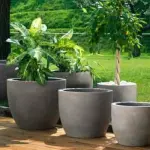 Vasi per piante, quali scegliere e come usarli