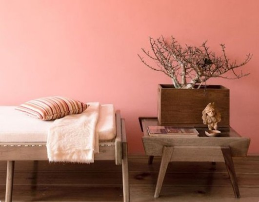 Pantone 2019: il trend dei colori è il living coral